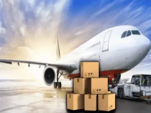 Packers and Movers 3