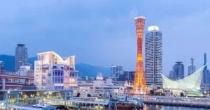 International Moving Services
