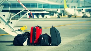 Luggage Transport Company
