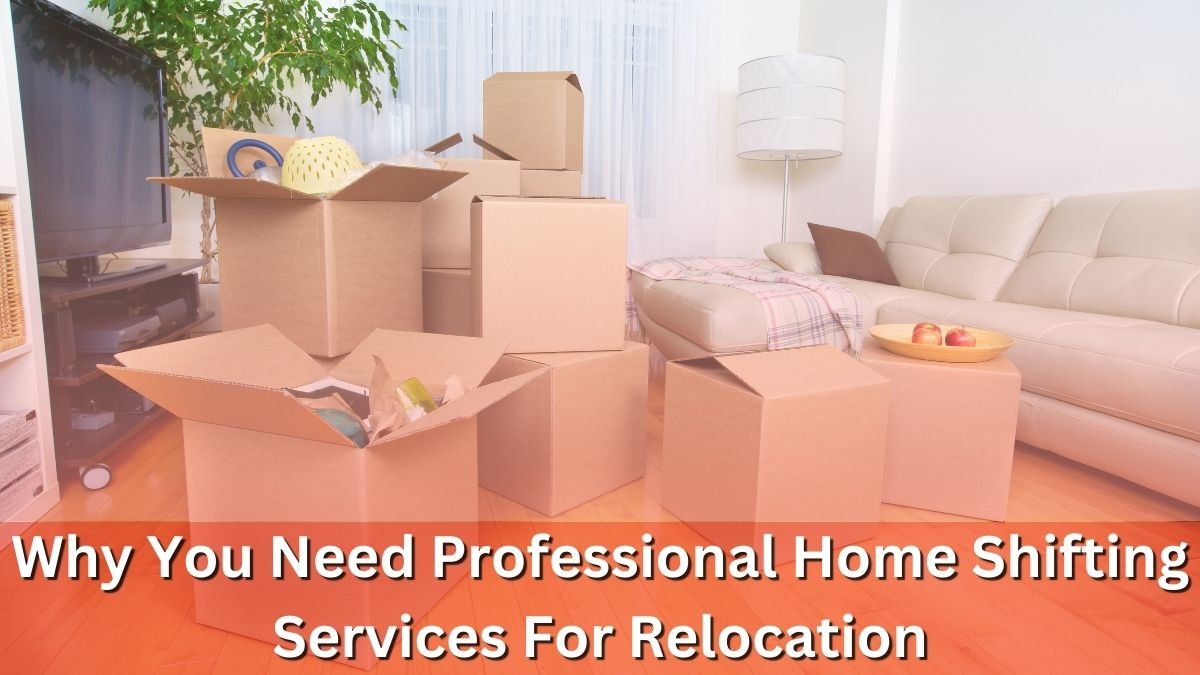 Professional Home Shifting Services